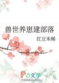 小狗驯养视频