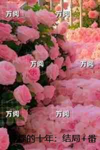 大佬她举世无双免费全文